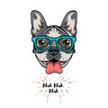 Hipster Geek French Bulldog. Dog geek. Vector illustration. Royalty Free Stock Photo