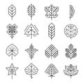 Hipster geometric thin line leaves for logos and