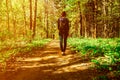 Hipster girl with a backpack is walking on the pathway in forest. Back view photo of female backpacker in the woods Royalty Free Stock Photo