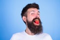 Hipster happy face enjoy juicy ripe red strawberry. Man handsome hipster with long beard eating strawberry. Berry in