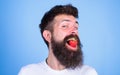 Hipster happy face enjoy juicy ripe red strawberry. Strawberry sweet taste concept. Man handsome hipster with long beard