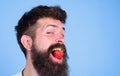 Hipster happy face enjoy juicy ripe red strawberry. Strawberry sweet taste concept. Man handsome hipster with long beard