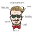 Hipster Head Anatomy