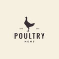 Hipster hen poultry logo design Royalty Free Stock Photo
