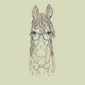 Hipster horse vector illustration. Royalty Free Stock Photo