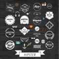 Hipster Label and Badge Icon Vector Design Royalty Free Stock Photo