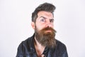 Hipster looks surprised and suspicious while raising his eyebrow. Masculinity concept. Man with beard and mustache on Royalty Free Stock Photo