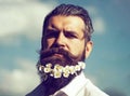 Hipster man with daisy flowers in beard with elegant mustache on sunny day outdoor on blue sky background. Royalty Free Stock Photo