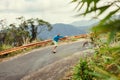 Hipster man longboarding extremely in tropics Royalty Free Stock Photo