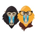 Hipster mandrills cool sketch Royalty Free Stock Photo