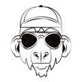 Hipster monkey cool sketch