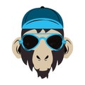 Hipster monkey cool sketch