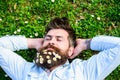 Hipster on peaceful face lays on grass, top view. Guy looks nicely with daisy or chamomile flowers in beard. Man with