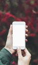 Hipster photograph on digital smartphone or technology, mock up of blank screen. Girl using cellphone on red flowers background