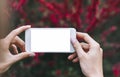 Hipster photograph on smartphone or technology, mock up of blank screen. Girl using cellphone on red flowers background Royalty Free Stock Photo