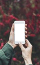 Hipster photographing on smartphone or technology, mock up of blank screen. Girl using cellphone on red flowers background. Hands Royalty Free Stock Photo