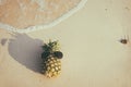 Hipster pineapple on beach - fashion in summer Royalty Free Stock Photo