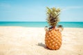 Hipster pineapple with sunglasses on a sandy beach. Royalty Free Stock Photo
