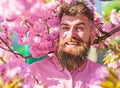 Hipster in pink shirt near branch of sakura. Harmony with nature concept. Bearded man with stylish haircut with sakura Royalty Free Stock Photo