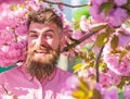 Hipster in pink shirt near branch of sakura. Harmony with nature concept. Man with beard and mustache on smiling face Royalty Free Stock Photo
