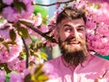 Hipster in pink shirt near branch of sakura. Harmony with nature concept. Man with beard and mustache on smiling face Royalty Free Stock Photo