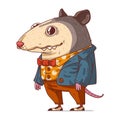 A Hipster Possum, isolated vector illustration. A dressed animal art. Drawn animal sticker.