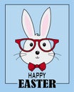 Hipster rabbit