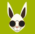 Hipster rabbit with sunglasses. Vector stock.