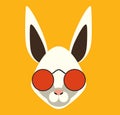 Hipster rabbit with sunglasses. Vector stock.