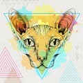 Hipster realistic animal sphynx cat on artistic polygon watercolor background