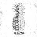 Hipster realistic and polygonal fruit pineapple on grunge background
