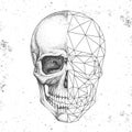 Hipster realistic and polygonal skull on grunge background