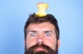 Hipster shocked face with apple stump target on head blue background, close up. Man handsome hipster long beard almost