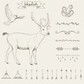 Hipster sketch style elements set for retro design. Royalty Free Stock Photo