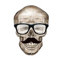 Hipster skull with sunglasses and mustache. Vector illustration