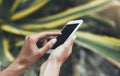 Hipster text message on smart phone or technology, mock up of blank screen. Young girl using cellphone on yellow flower background Royalty Free Stock Photo