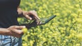 Hipster texting message on tablet or technology, mock up of blank screen. Girl using computer on yellow flowers background close Royalty Free Stock Photo