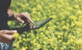 Hipster texting message on tablet or technology, mock up of blank screen. Girl using computer on yellow flowers background close Royalty Free Stock Photo