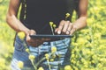 Hipster texting message on tablet or technology, mock up of blank screen. Girl using computer on yellow flowers background close Royalty Free Stock Photo