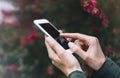 Hipster texting on smartphone or technology, mock up of blank screen. Girl using cellphone on red flowers background. Hands hold Royalty Free Stock Photo