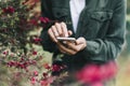 Hipster texting on smartphone or technology, mock up of blank screen. Girl using cellphone on red flowers background. Hands hold Royalty Free Stock Photo