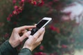 Hipster texting on smartphone or technology, mock up of blank screen. Girl using cellphone on red flowers background. Hands hold Royalty Free Stock Photo