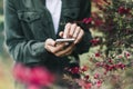 Hipster texting on smartphone or technology, mock up of blank screen. Girl using cellphone on red flowers background. Hands hold Royalty Free Stock Photo