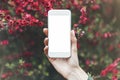 Hipster texting on smartphone or technology, mock up of blank screen. Girl using cellphone on red flowers background. Hands hold Royalty Free Stock Photo