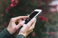 Hipster texting on smartphone or technology, mock up of blank screen. Girl using cellphone on red flowers background. Hands hold Royalty Free Stock Photo