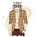 Hipster Tiger in a jacket and sunglasses . Vector illustration.