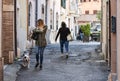 Hipster woman walking with her dog at the historical center city - Woman strolling with black and white pitbull during autumn day Royalty Free Stock Photo