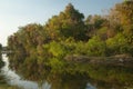 Hiran river as it passes through Sasan.