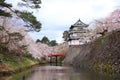 Hirosaki castle and cherry blossoms