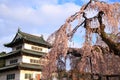 Hirosaki castle and cherry blossoms